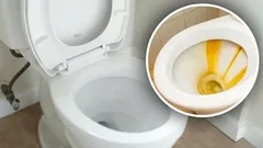 Żółty osad w toalecie zniknie bez śladu: wrzuć do muszli klozetowej tabletkę, którą ma każdy w domu