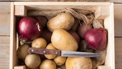 Usuń te czynniki — a ziemniaki nie zgniją do wiosny: porady agronomów dotyczące przechowywania