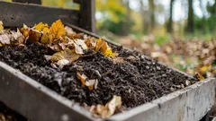 Nawóz z opadłych liści – zrób to sam: jak łatwo przygotować cenny cud dla gleby