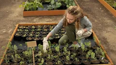 Sekrety zimowego siewu: co posiać w listopadzie, by mieć wspaniałe plony na wiosnę