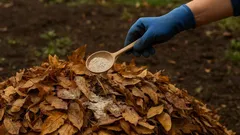 Trzy łyżki — a liście zamieniają się w złoto: tanie nawozy, które zastąpią obornik