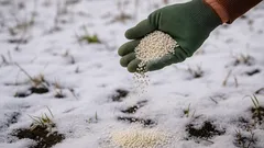 Jesienne nawożenie przez śnieg: niesamowita metoda gwarantująca lepsze plony w przyszłym roku