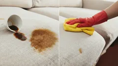 Jak uratować kanapę po wylanej kawie – sól i cytryna na ratunek