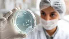 Oszustwo stulecia: ta bakteria udaje martwą, aby przetrwać niekorzystne warunki