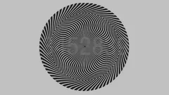 Dziwna iluzja optyczna wywołała spory: jakie cyfry są na obrazku i ile ich jest?