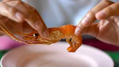 Jak obrać krewetki w 2 sekundy: zaskakująca metoda „skręcania” od szefa kuchni