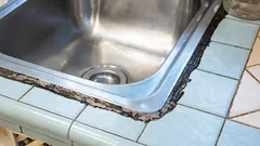 Pleśń na silikonowych fugach wokół zlewu: prosty sposób na jej usunięcie bez pomocy specjalistów