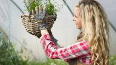 Jeden dzień jesienią – i ogród pod ochroną: zabieg, po którym szkodniki nie obudzą się na wiosnę