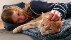 Lubisz koty? Psycholodzy odkryli: masz 5 rzadkich cech osobowości