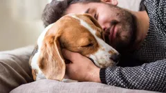 Dlaczego psy śpią blisko głowy swoich właścicieli – kynolog ujawnia zaskakujące powody