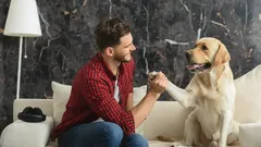 Jak często rozmawiasz ze swoimi pupilami? Eksperci wyjaśniają, co to może oznaczać