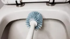 Kiedy wymienić szczotkę do toalety? Eksperckie porady dotyczące higieny łazienki