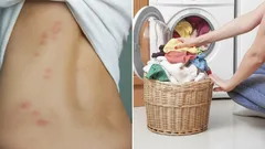 Pranie wykonujesz źle: w jakiej temperaturze naprawdę giną roztocza kurzu?